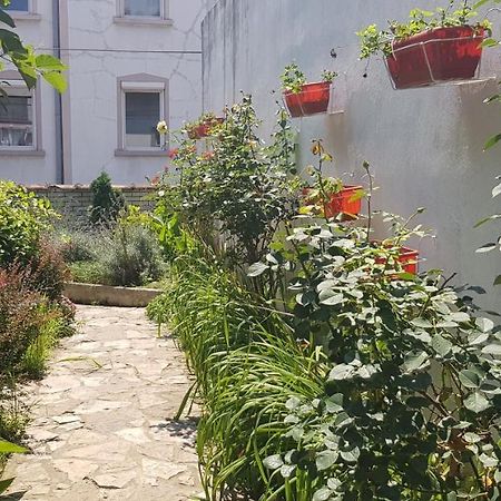 Garden Apartments Βελιγράδι Εξωτερικό φωτογραφία