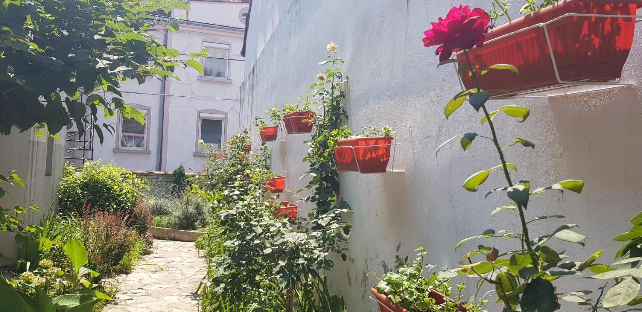 Garden Apartments Βελιγράδι Εξωτερικό φωτογραφία